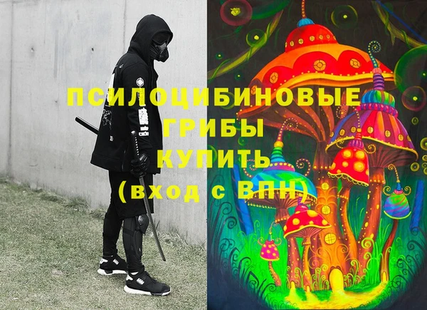 трава Арсеньев