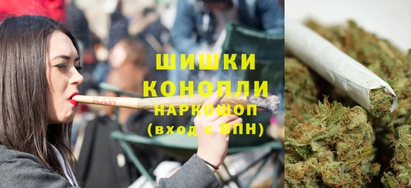 трава Арсеньев