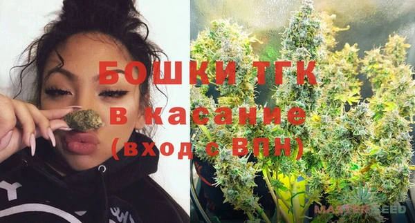 трава Арсеньев