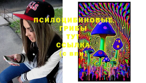 трава Арсеньев